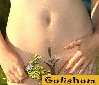 Красивые эскизы на интимных местах нудисток