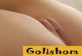 Женские половые киски