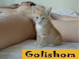 Голые женщины и кошки