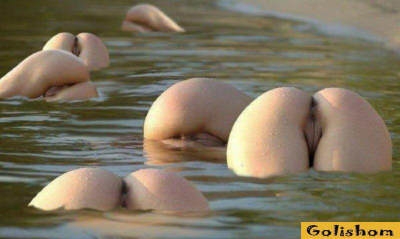 Фото задниц Фото задниц