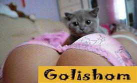 Кошки и сиськи - щепетильная тема