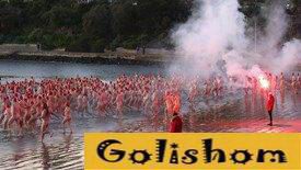 Сотни голых австралийцев окунулись в океан, чтобы отпраздновать день зимнего солнцестояния