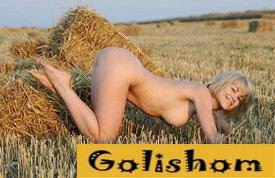 Попки телок