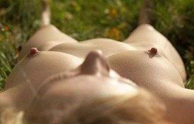 Как вам такая подборка?