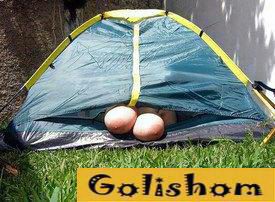 Очередная подборка замечательной Забавной Эротики