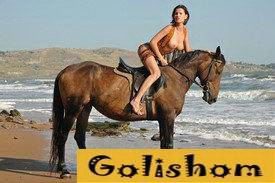 Девушка и конь - Сколько грациозности