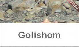 Нудистка загорает раздвинув ноги - видео