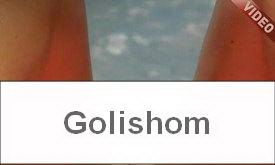 Письки крупным планом на пляже нудистов - видео HD