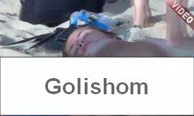 Что происходит на пляже нудистов видео