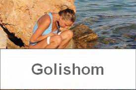 Любительница золотого дождя