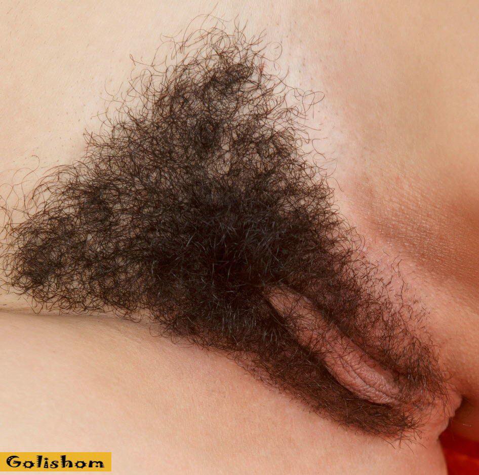 Волосатые письки девушек - сборник фото Волосатые письки девушек - сборник фото