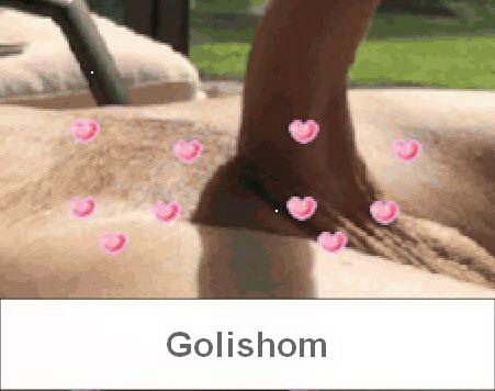 Пришла весна и зацвели каштаны - фото дня!