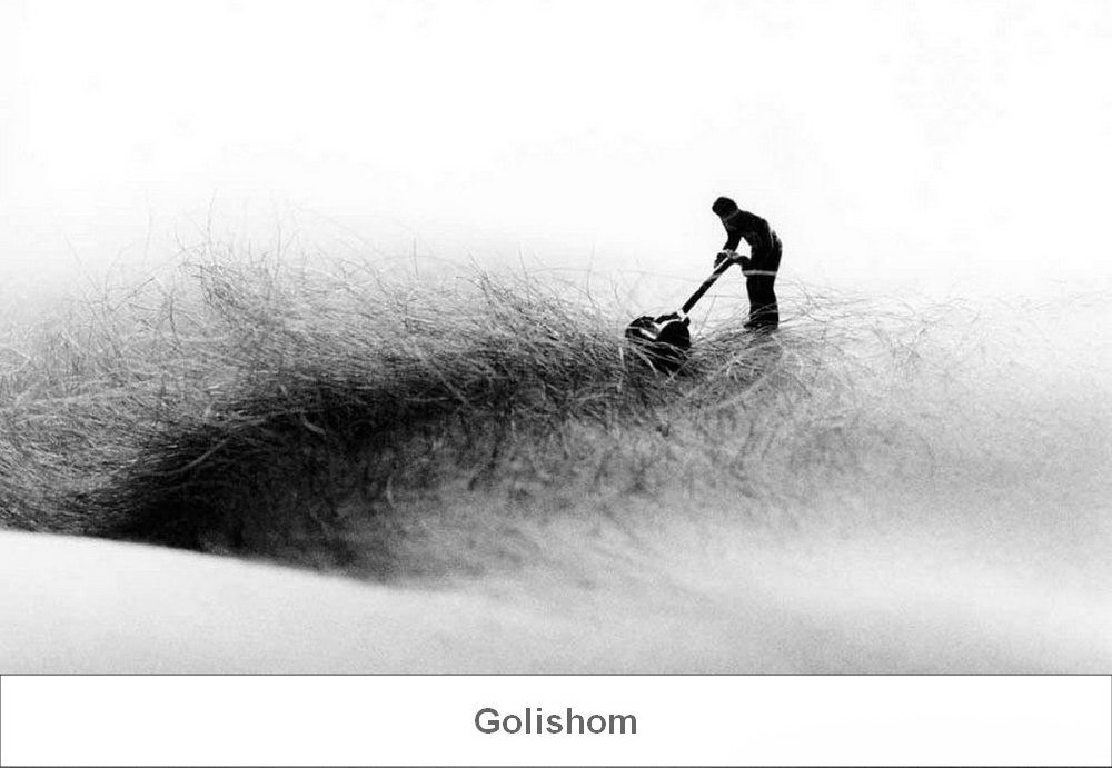 Аллан Тегер - Холмы, заросли, бугры на женском теле Аллан Тегер - Холмы, заросли, бугры на женском теле