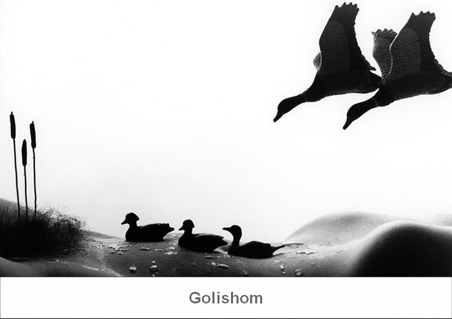 Аллан Тегер - Холмы, заросли, бугры на женском теле Аллан Тегер - Холмы, заросли, бугры на женском теле